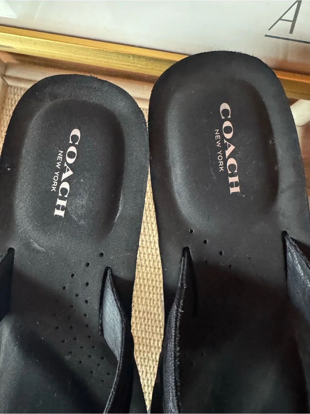 Coach classic wedge